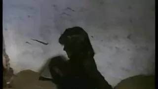 Негр товстушки в панчохах здався після погладжування дивитись порнофільми бобра